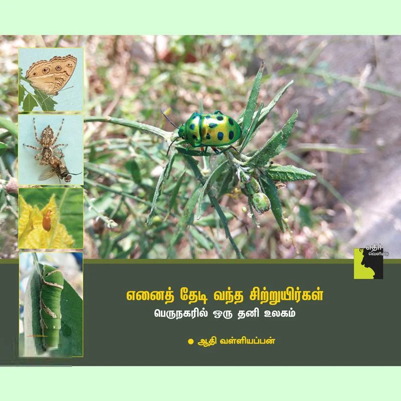 எனைத் தேடி வந்த சிற்றுயிர்கள்