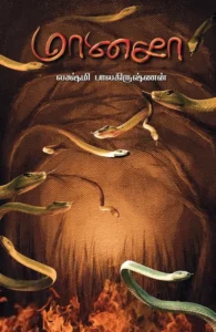 மானசா