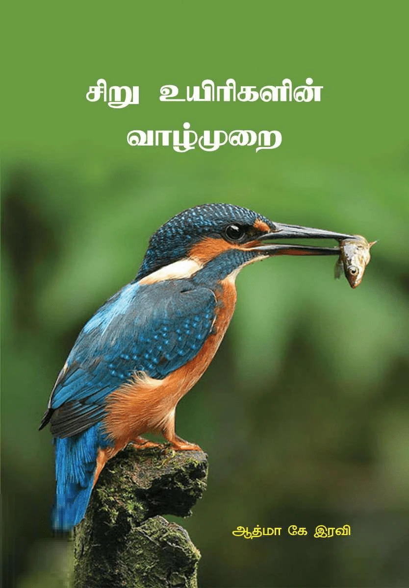 சிறு உயிரிகளின் வாழ்முறை