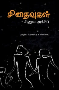 சிதைவுகள் (நாவல்)