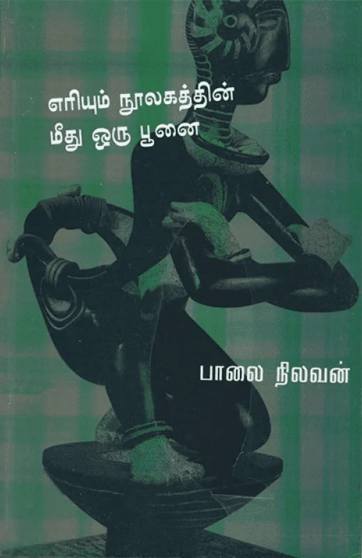 எரியும் நூலகத்தின் மீது ஒரு பூனை
