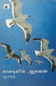 காலடியில் ஆகாயம்