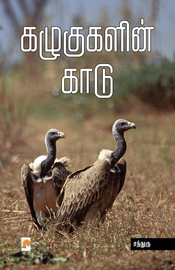 கழுகுகளின் காடு