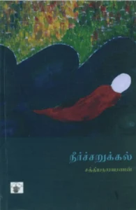 நீர்ச்சறுக்கல்
